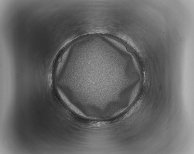 X0000101091165200807241002