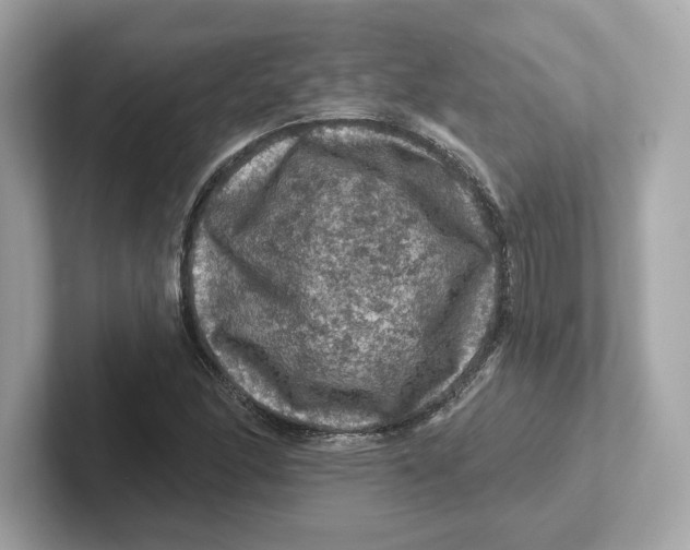 X0000101091166200807241002