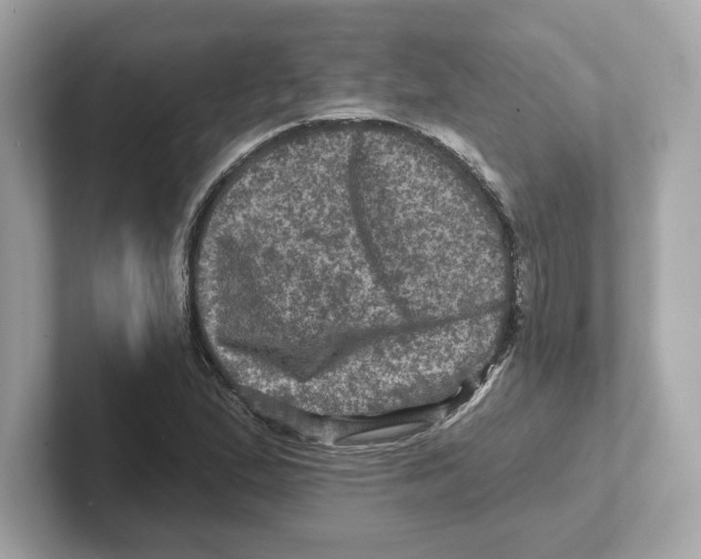 X0000101091167200807241002