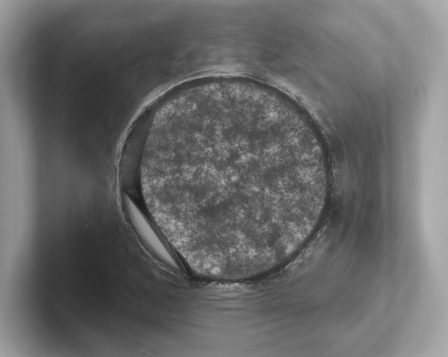 X0000101091168200807241002