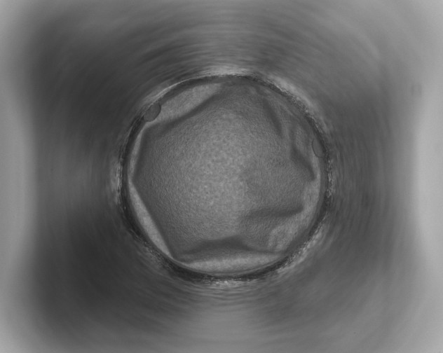 X0000101091169200807241002