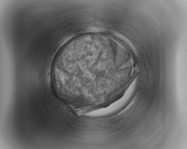 X0000101091170200807241002