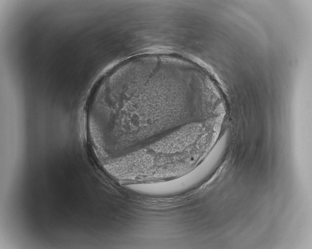 X0000101091171200807241002