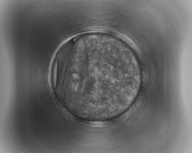 X0000101091172200807241002