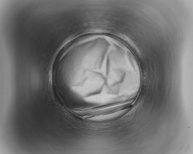 X0000101091173200807241002