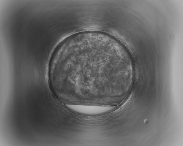 X0000101091174200807241002