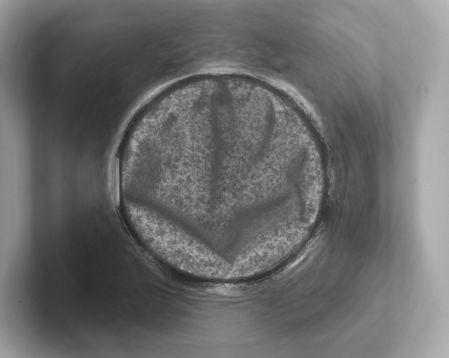 X0000101091175200807241002