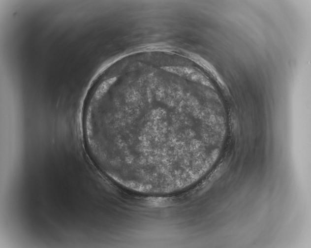 X0000101091176200807241002