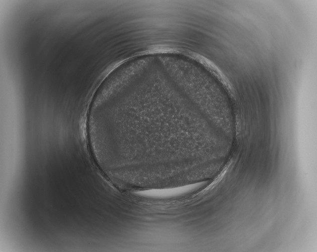 X0000101091177200807241002