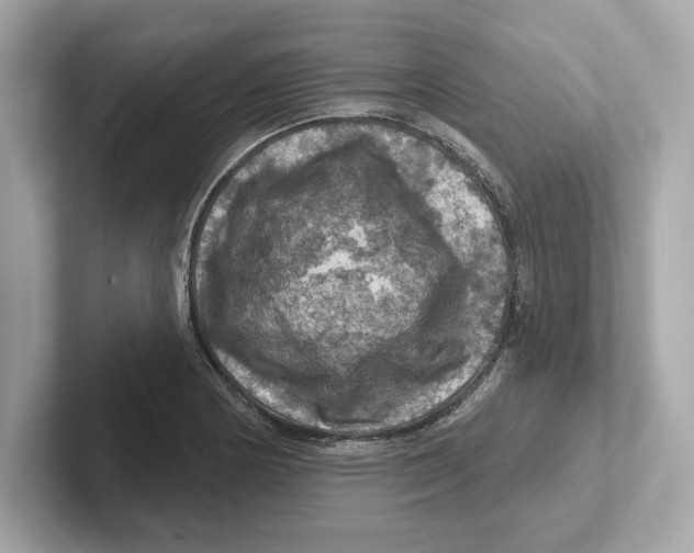 X0000101091178200807241002