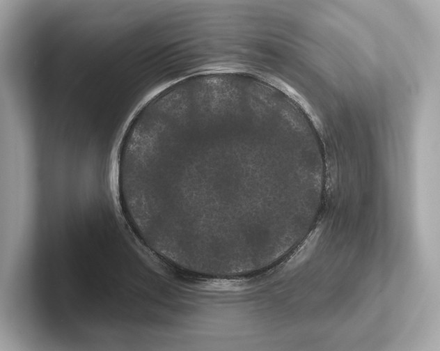 X0000101091179200807241002