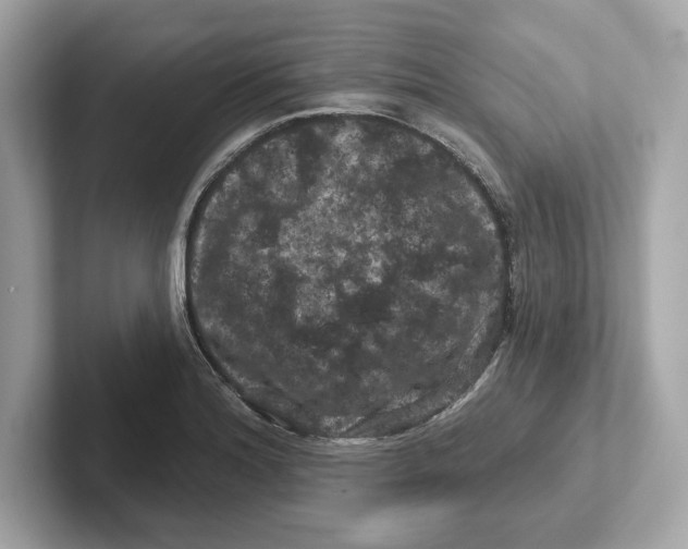 X0000101091180200807241002