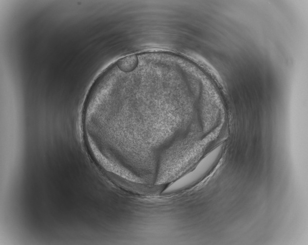 X0000101091182200807241001