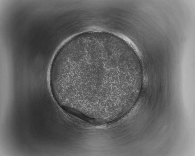 X0000101091183200807241001