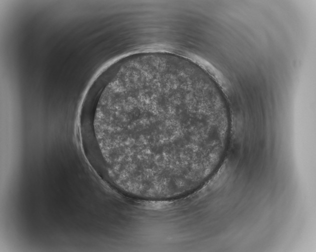 X0000101091184200807241001