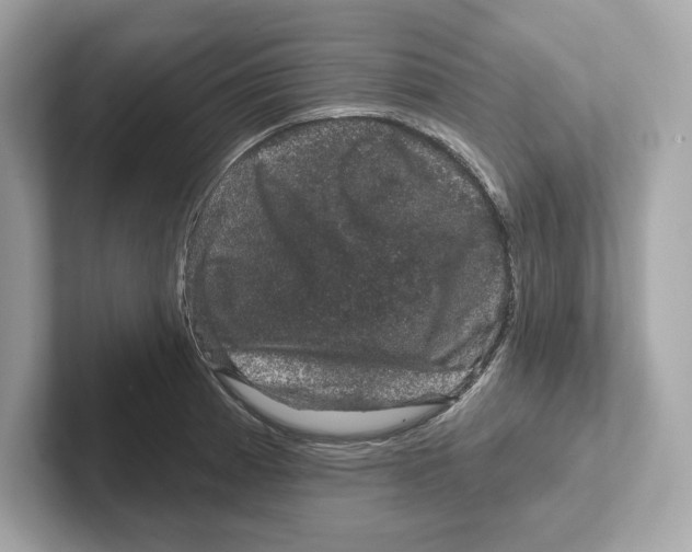 X0000101091185200807241001