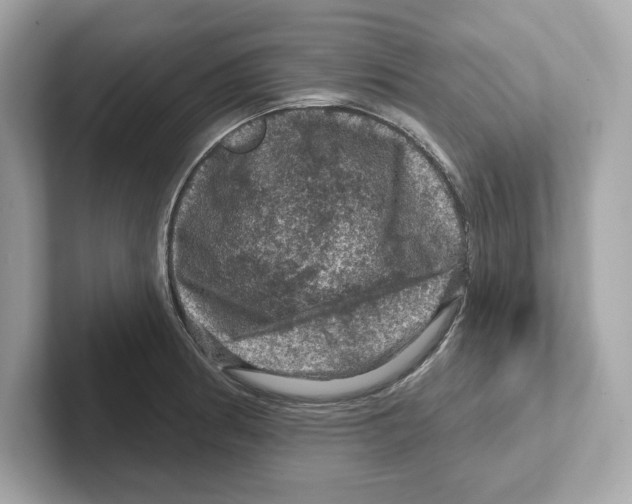 X0000101091186200807241001