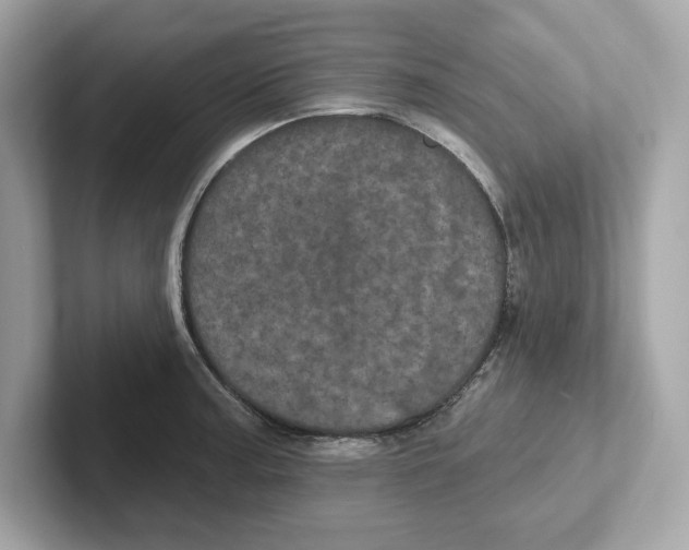 X0000101091187200807241001