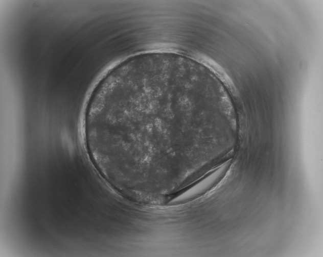 X0000101091188200807241001