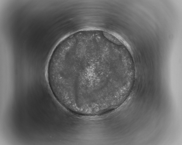 X0000101091189200807241001