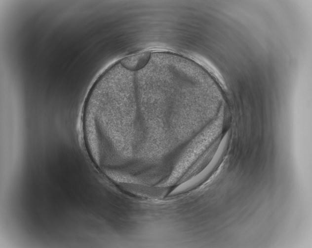 X0000101091190200807241001