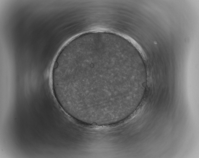 X0000101091191200807241001