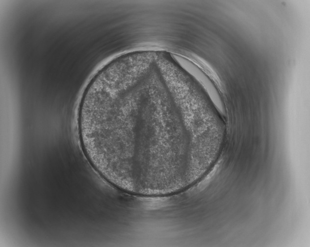 X0000101091192200807241001