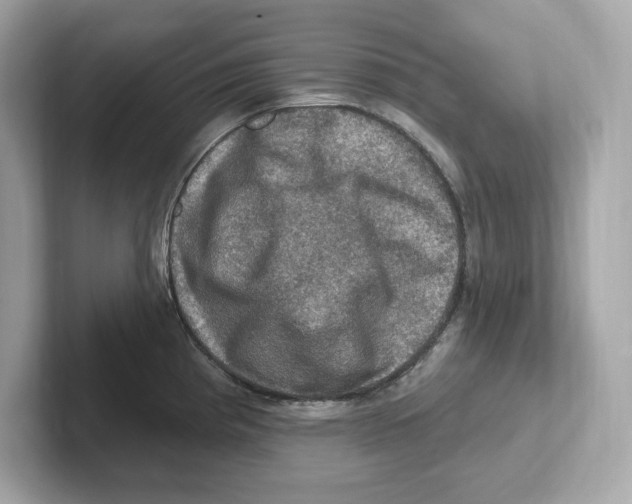 X0000101091193200807241001