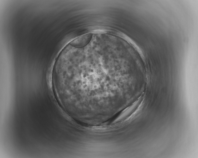 X0000101091194200807241001