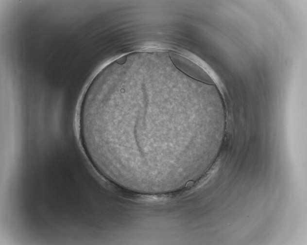 X0000101091195200807241001