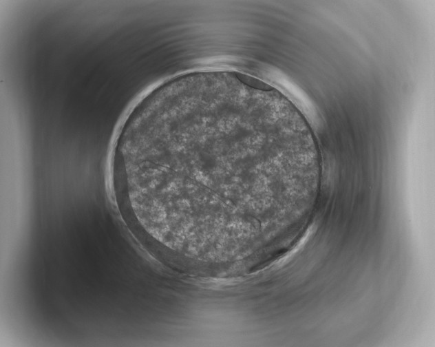 X0000101091196200807241001