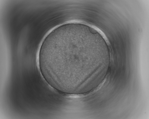 X0000101091199200807241001