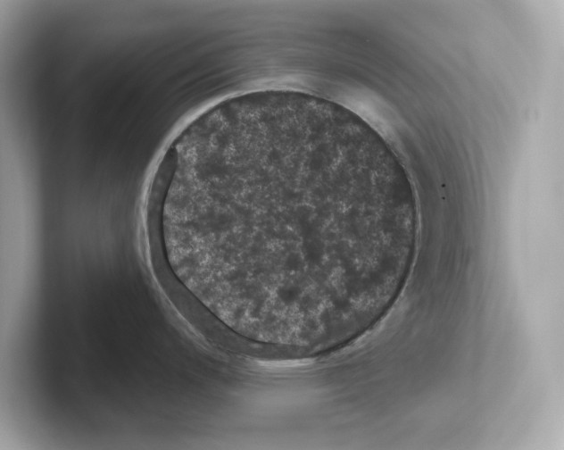 X0000101091200200807241001