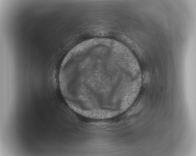 X0000101091202200807241001