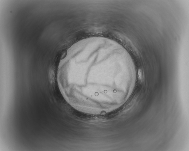 X0000101091203200807241001