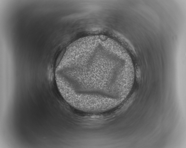 X0000101091204200807241001