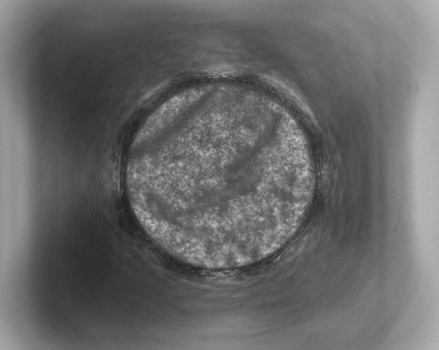 X0000101091205200807241001