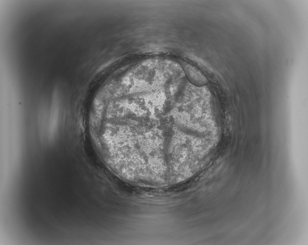 X0000101091206200807241001