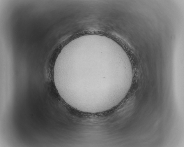 X0000101091207200807241001