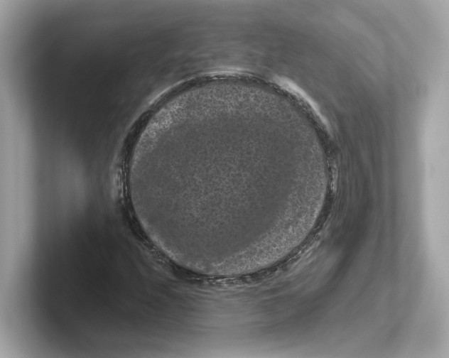 X0000101091208200807241001