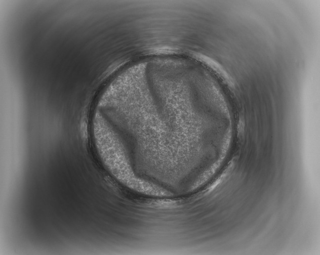 X0000101091209200807241001