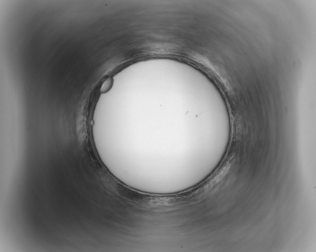 X0000101091211200807241001