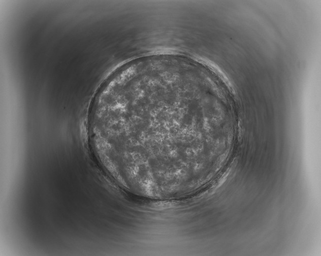 X0000101091212200807241001