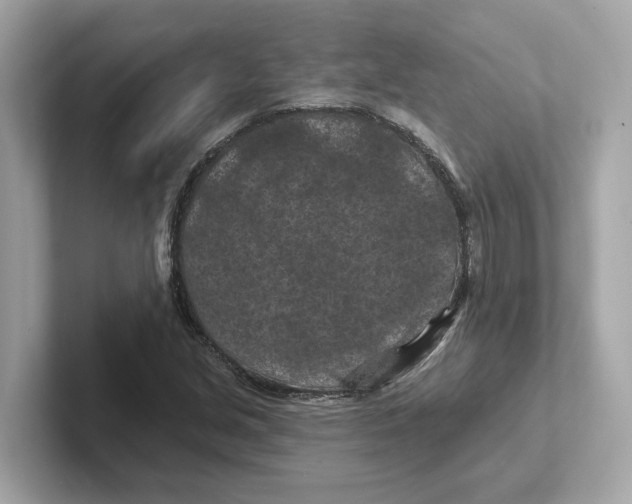 X0000101091213200807241001