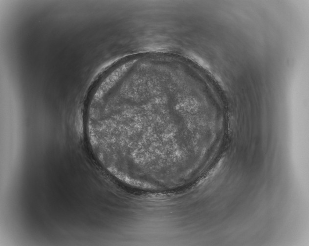 X0000101091214200807241001