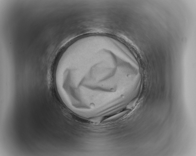 X0000101091215200807241001