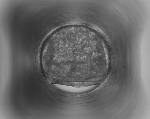 X0000101091216200807241001