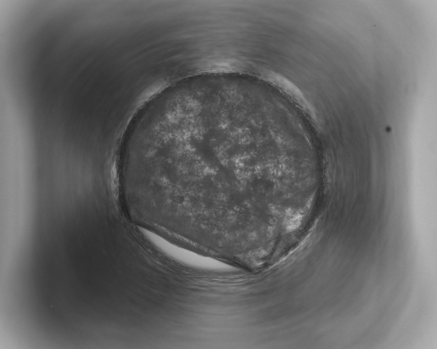 X0000101091218200807241001