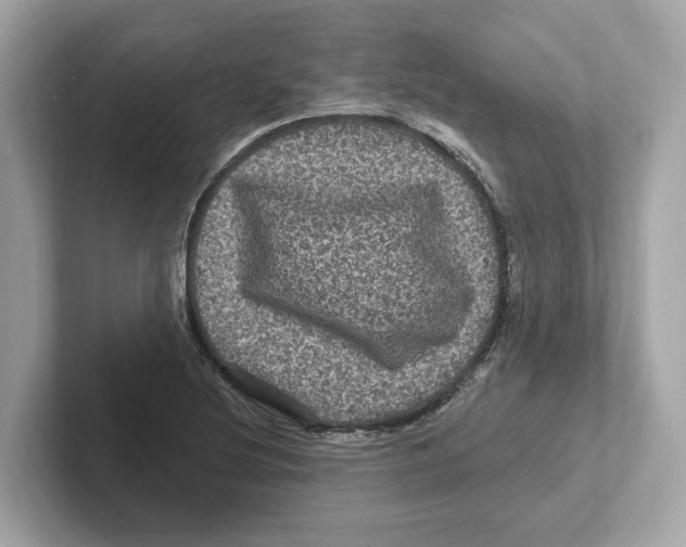 X0000101091220200807241001