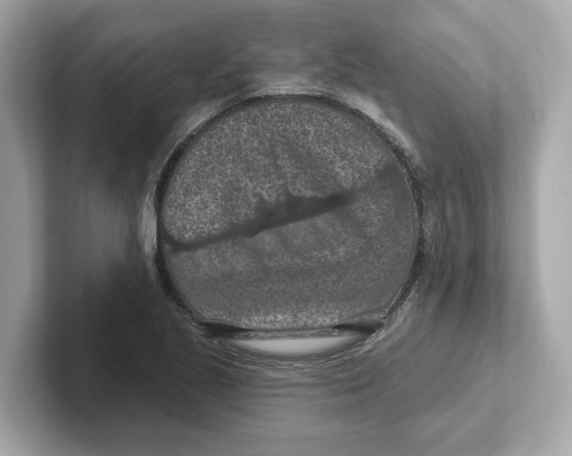 X0000101091221200807241001